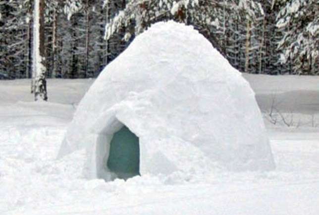 Iglu