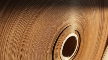 Setor de papel e celulose (Shutterstock)