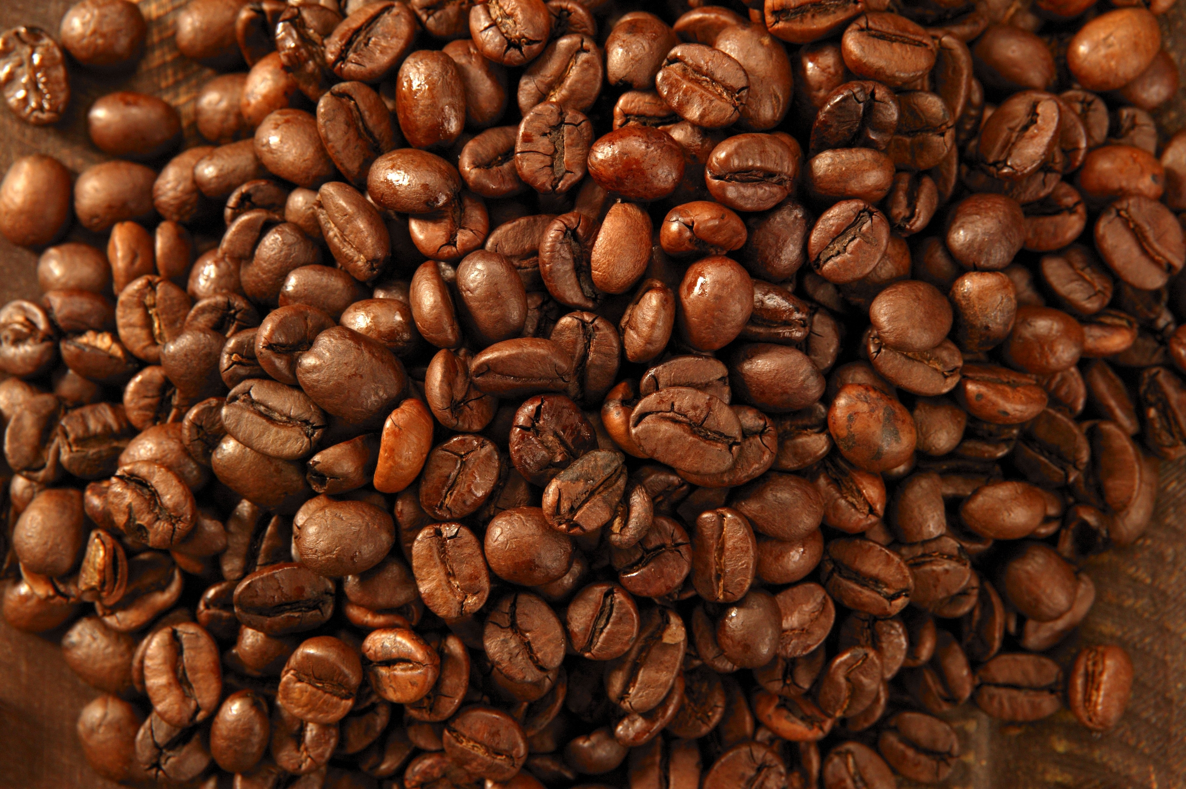 Toasted coffe beans texture