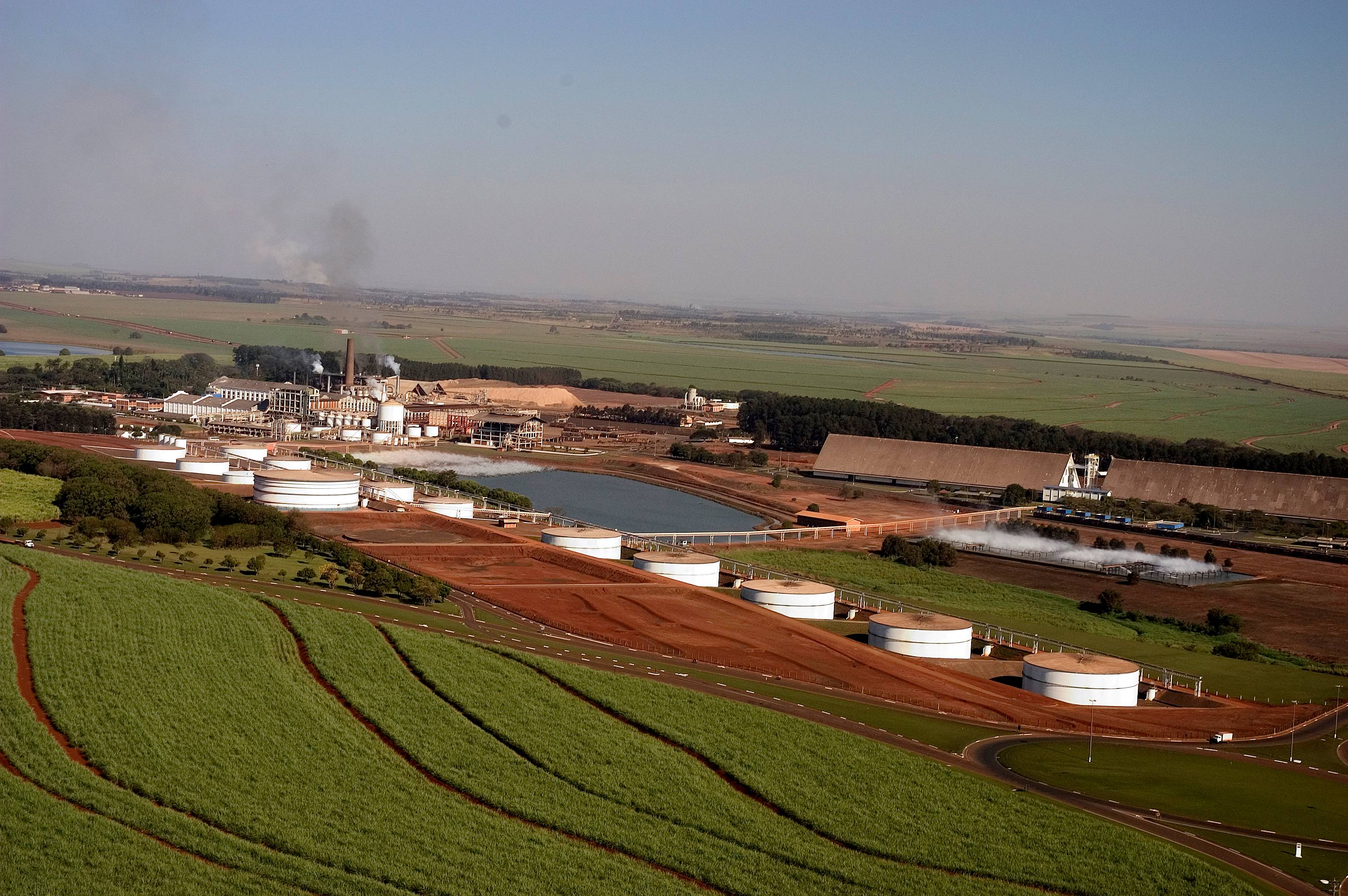São Martinho (Foto: Divulgação)