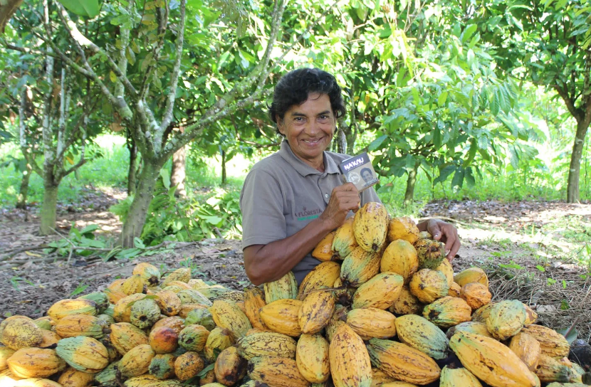 (Divulgação/Na'kau) Na Floresta - Produtora de Cacau Dinorath Figueiredo com chocolate