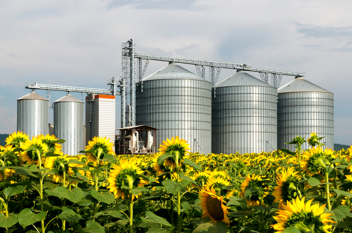 Bioeconomia, agronegócio