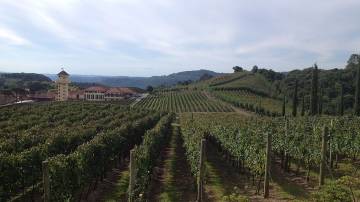 Indicação geográfica: um caminho para o fortalecimento do pequeno produtor rural