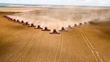 Plantação de soja em Mato Grosso; Agronegócio