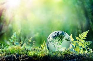 Globe On Moss In Forest - Environment Concept - redução de carbono - economia