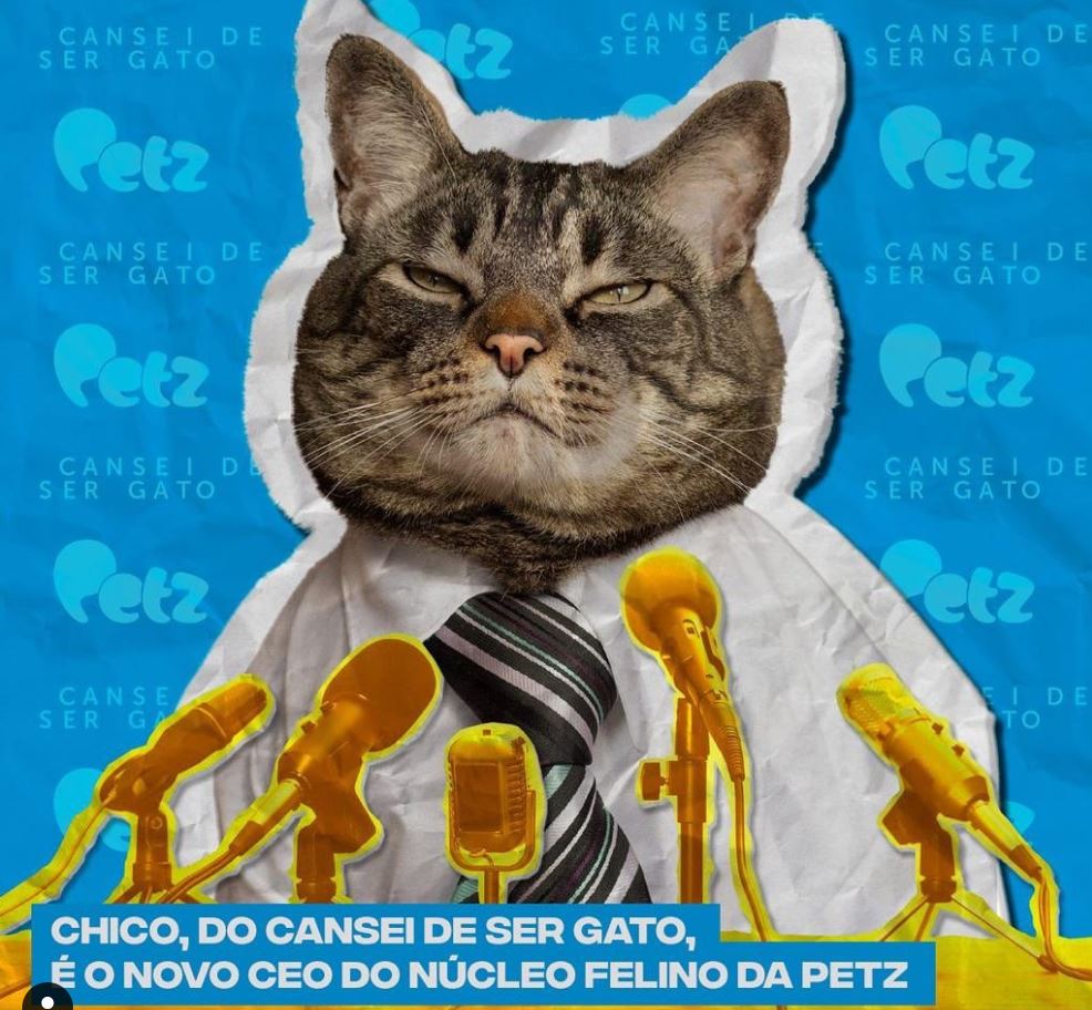 Chico e Petz - (Instagram: Cansei de ser gato)