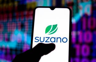 Suzano