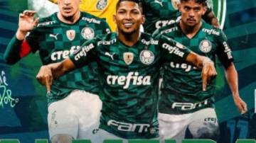 Fan token do Palmeiras