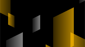 WS_Expert_1