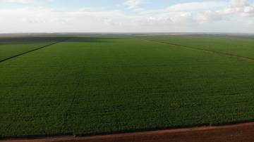 Fazenda São José, da BrasilAgro, localizada no Maranhão