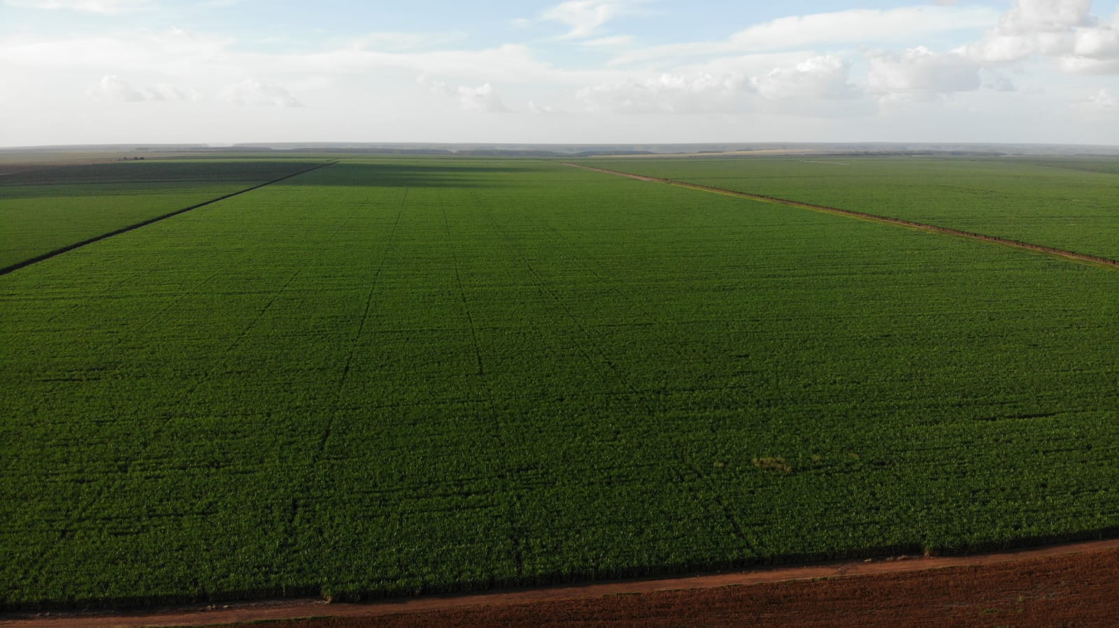 Fazenda São José, da BrasilAgro, localizada no Maranhão (Divulgação)