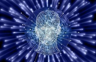 Neuralink, de Elon Musk, deve começar testes em humanos em 2023