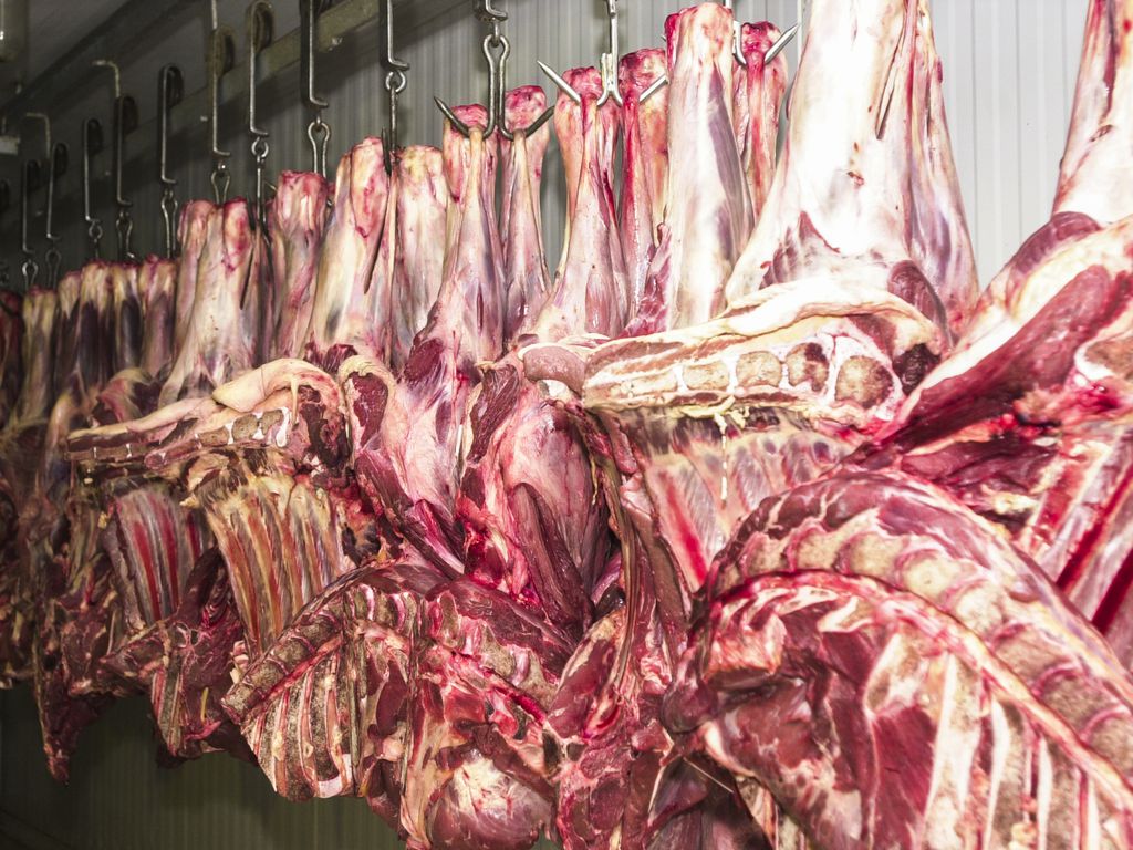 Preço da carne bovina foi destaque de alta no mês (Marcello Casal Jr/Agência Brasil)