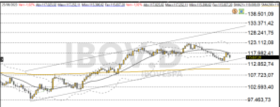 Ibovespa 28/08