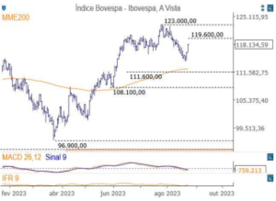 Análise gráfica 24/08