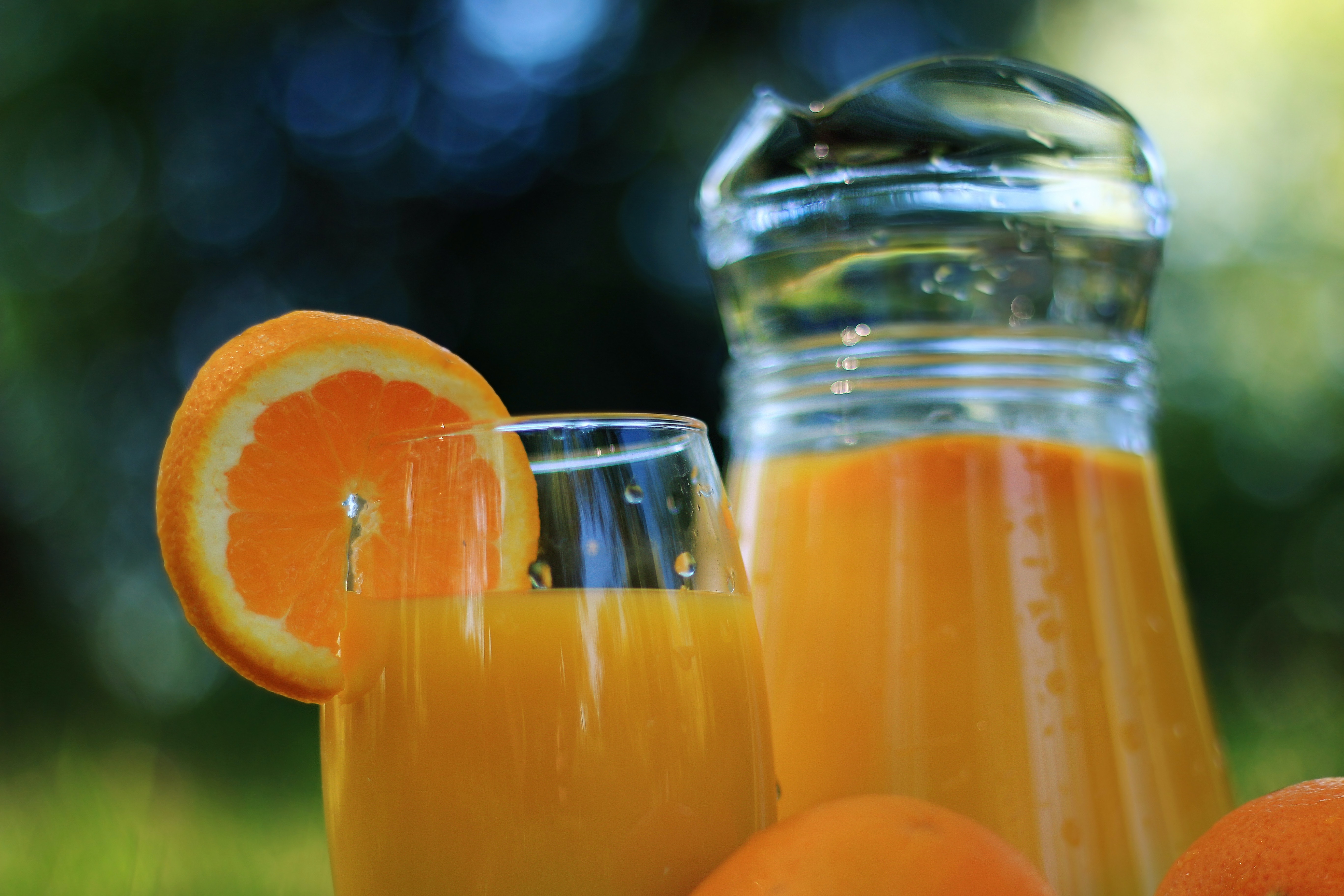 Suco de laranja ameaçado? O greening, doença danosa para citricultura se espalha pelos pomares (Foto: Pexels)