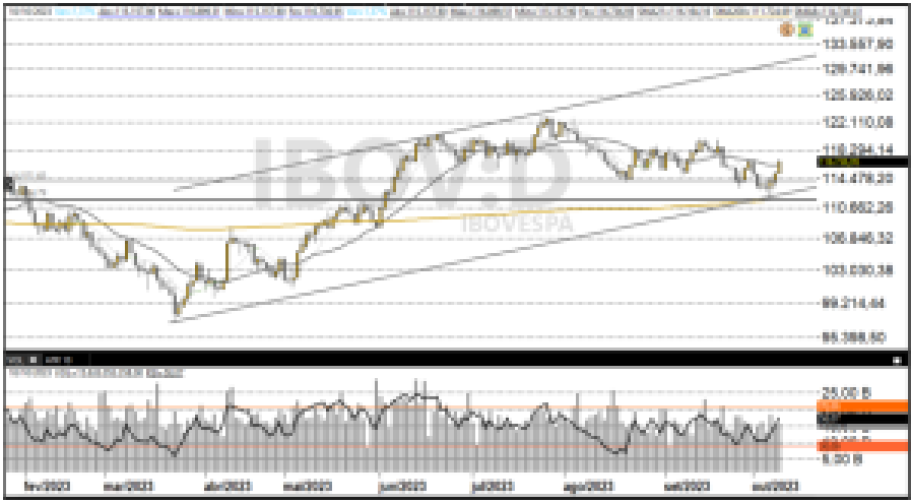Ibovespa 11/10