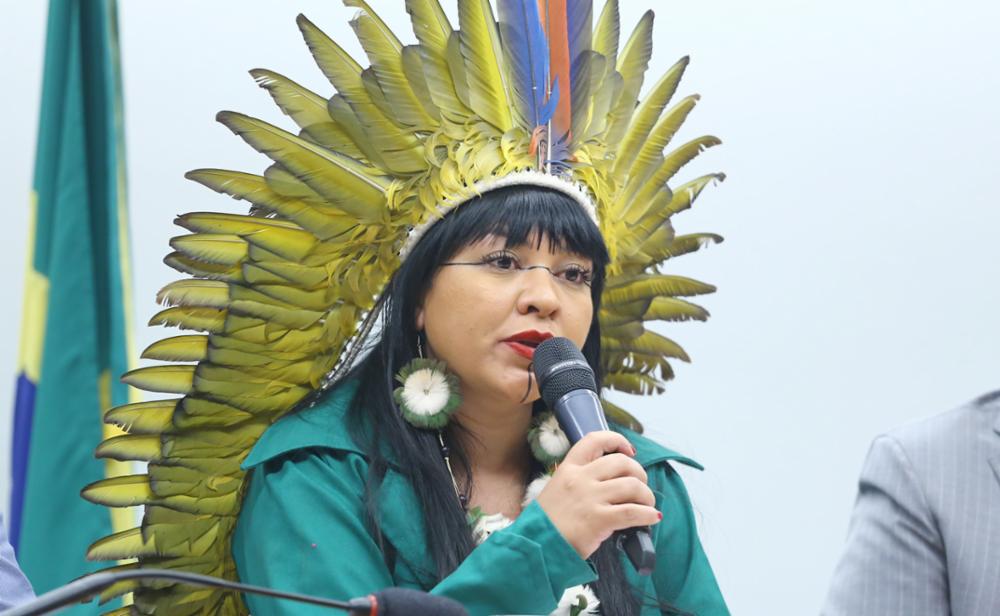 Deputada Célia Xakriabá. Foto: Agência Câmara