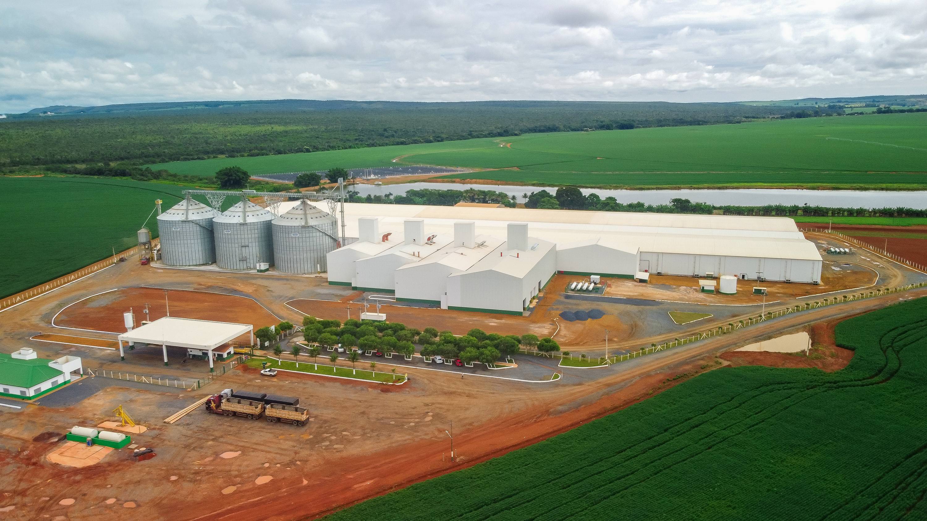 Fábrica de sementes da Boa Safra (foto: Divulgação)