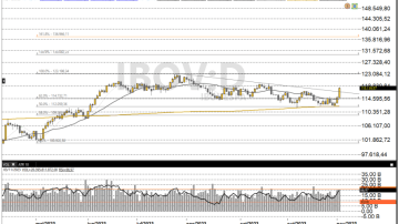 Ibovespa 06-11