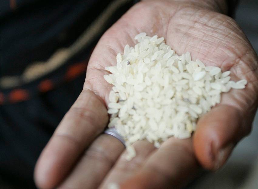 Punhado de arroz
(REUTERS/Andrew Biraj)