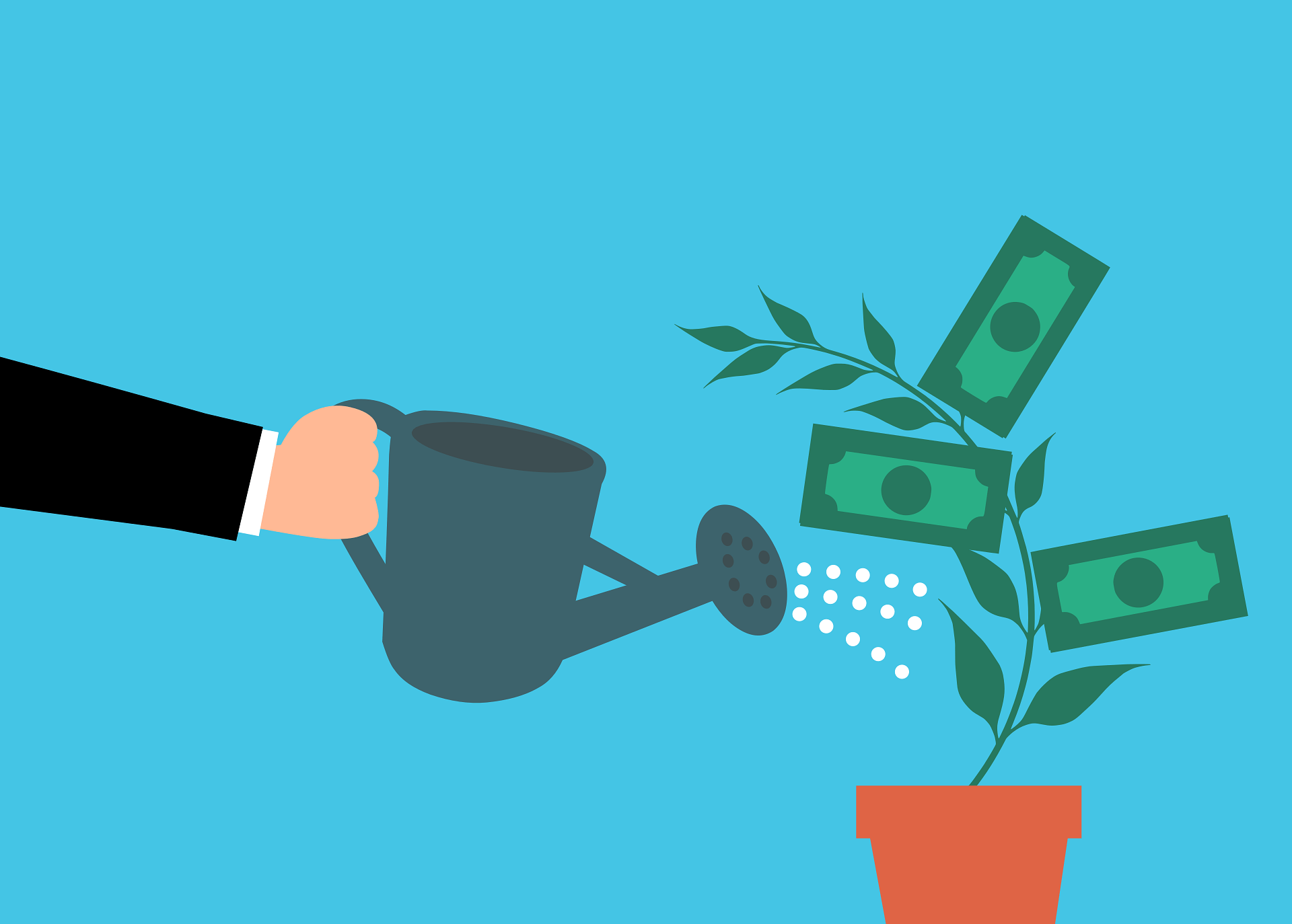 dinheiro investimento dividendos