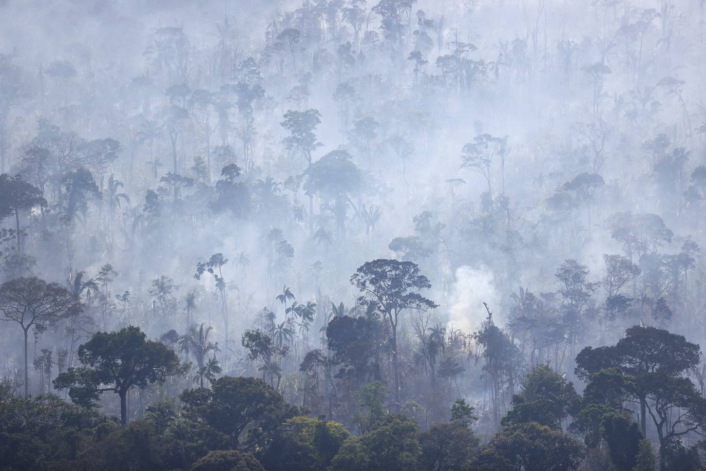 Fumaça provocada por incêndio sobe sobre as árvores da floresta amazônica em Humaitá, no Amazonas
03/08/2023 REUTERS/Leonardo Benassatto
