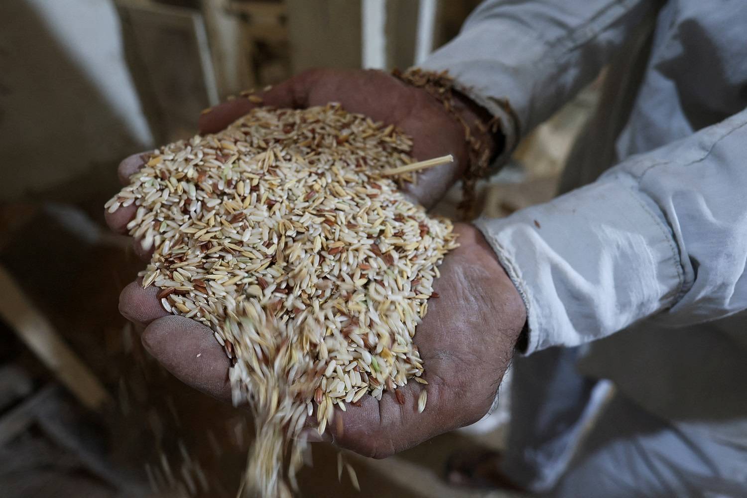 Agricultor segura punhado de arroz
20/07/2022
REUTERS/Alaa al-Marjani