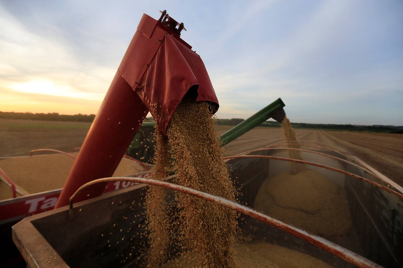 Soja sendo carregada em caminhão (Foto: Jorge Adorno/Reuters)