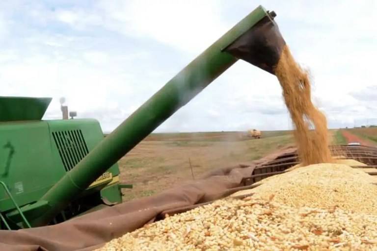 Neste ano, houve aumento de 10% no volume de recursos em relação à safra anterior (Foto: Arquivo / Agência Brasil)