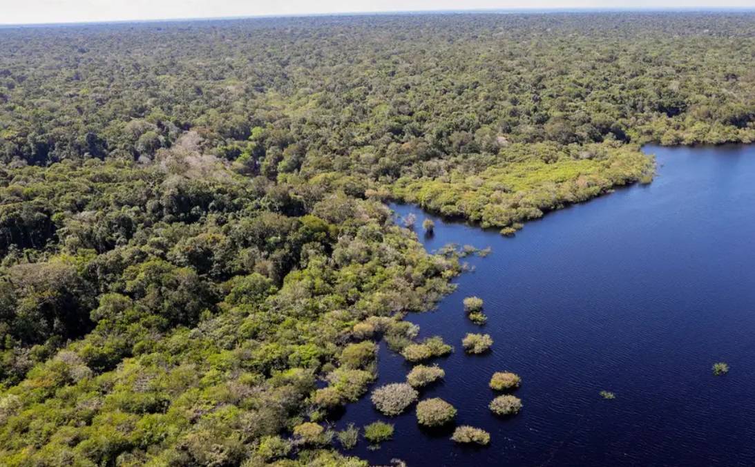 Floresta Amazônica (Foto: Fabio Rodrigues-Pozzebom/Agência Brasil)