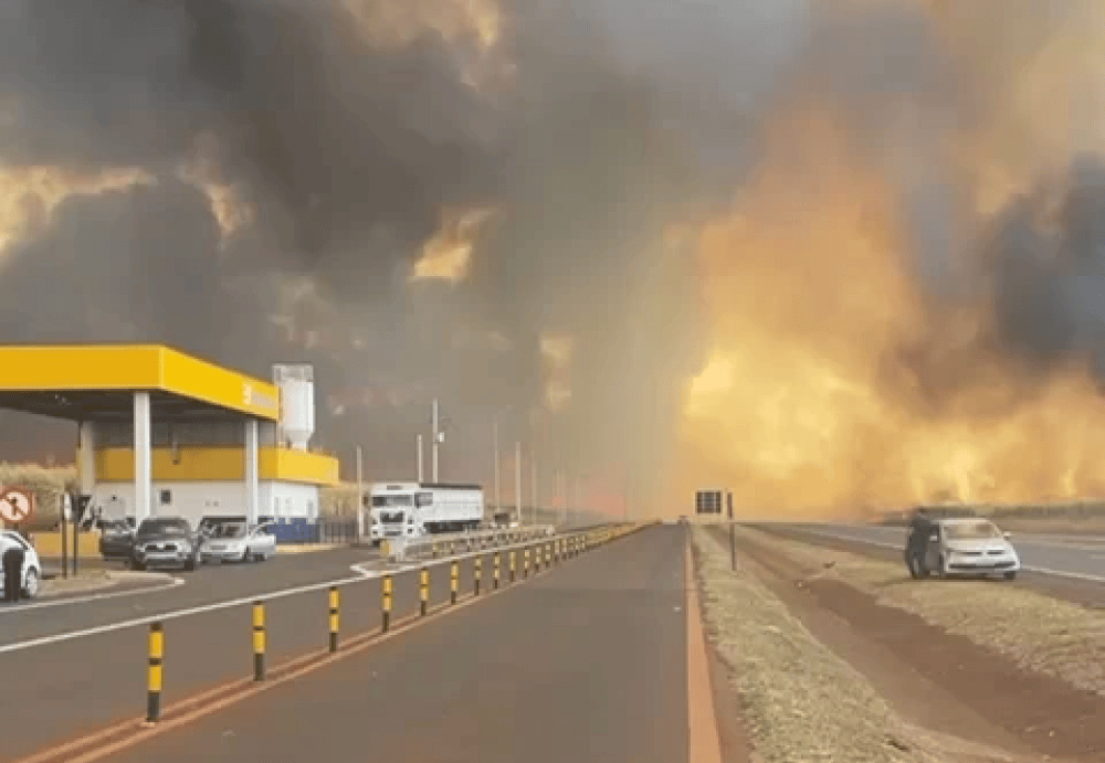 Rodovia no interior de SP cercada pelo fogo de queimadas (Foto: Reprodução/X)