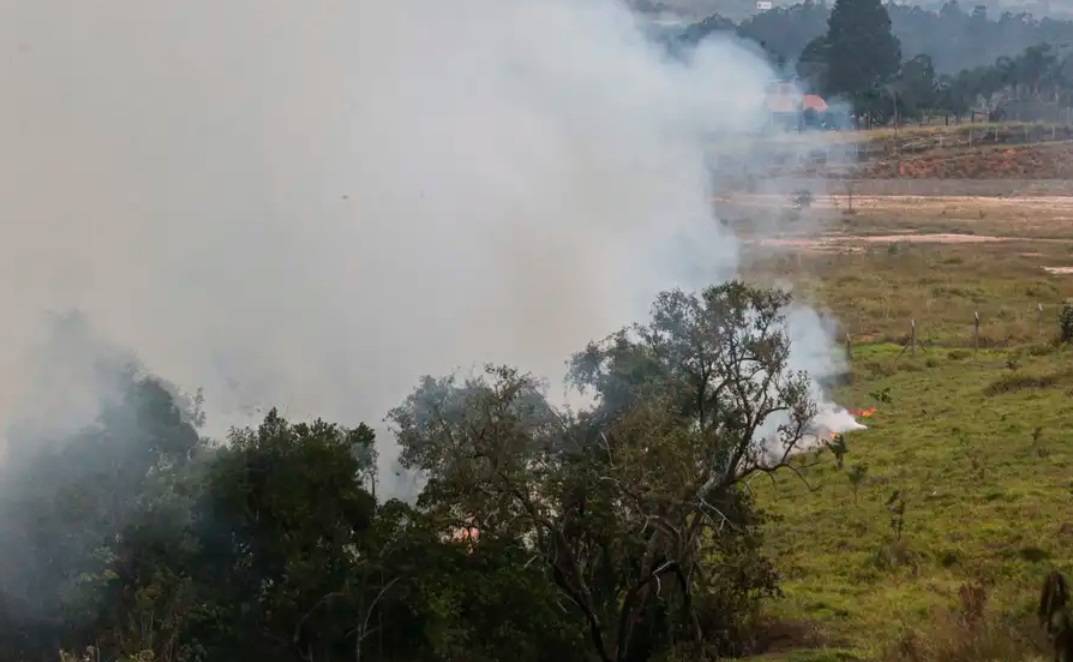 Queimadas atingem várias regiões do estado de São Paulo (Foto: Paulo Pinto/Agência Brasil)