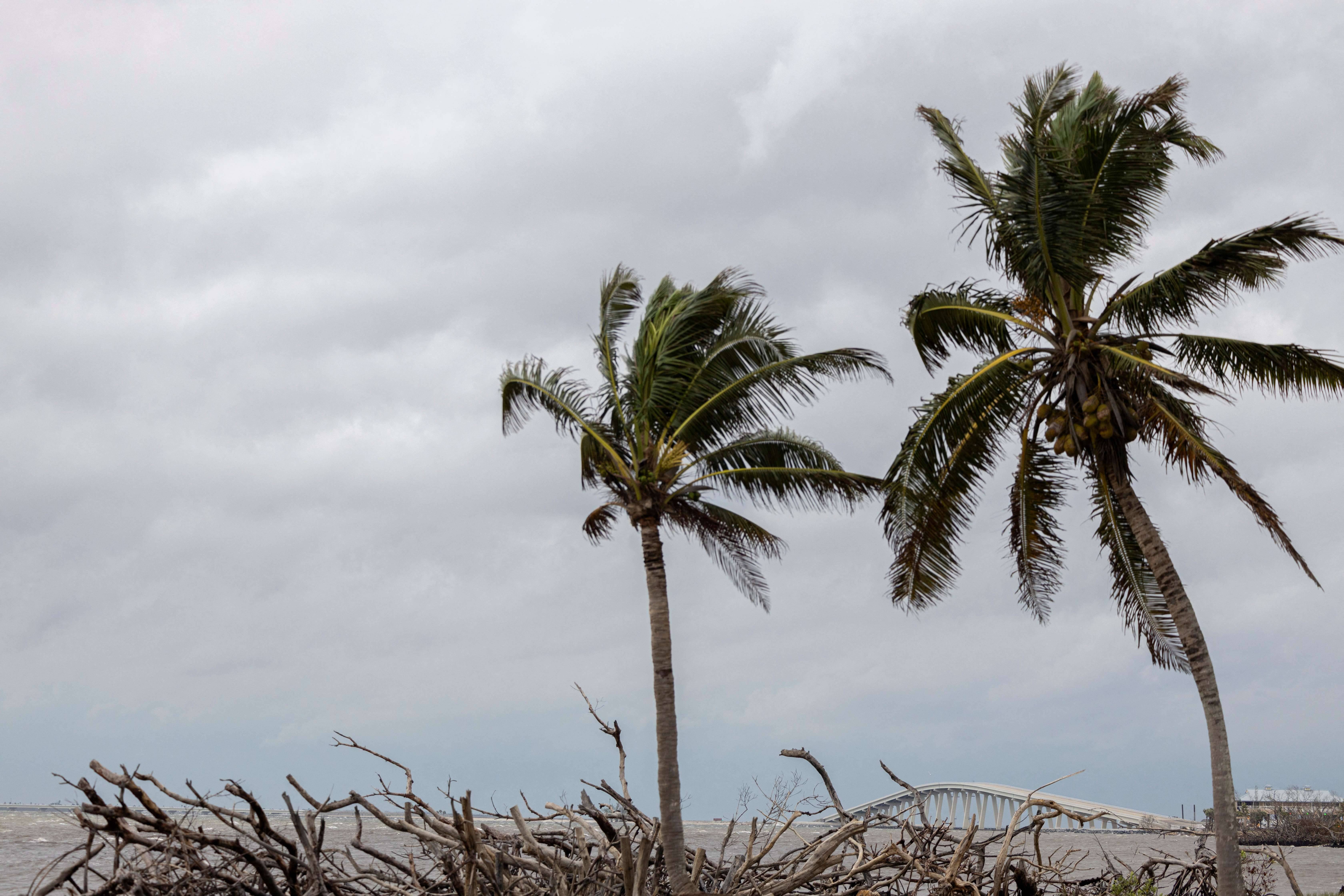 Vento sopra sobre palmeiras perto da ponte da Ilha Sanibel enquanto o furacão Milton se aproxima de Fort Myers, na Flórida – 09/10/2024 (Foto: Ricardo Arduengo/Reuters)