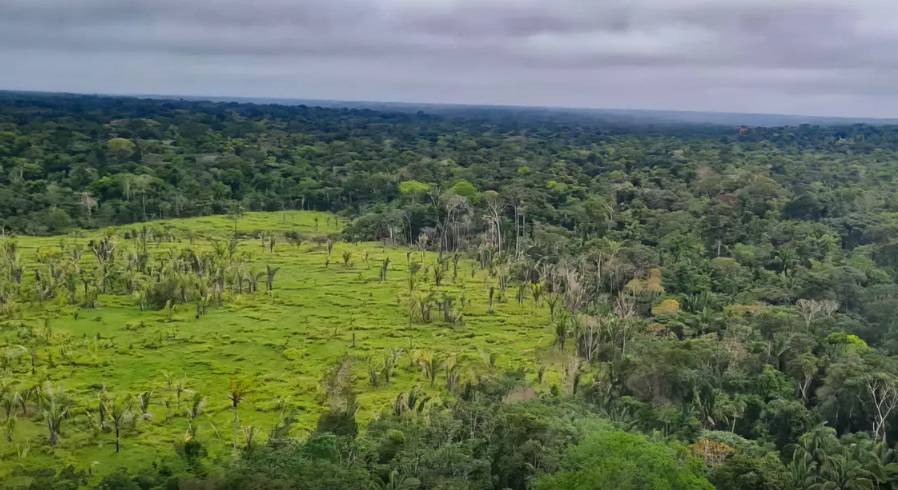 Lei que cria o mercado de carbono no Brasil foi sancionada (Foto: Divulgação/PF)