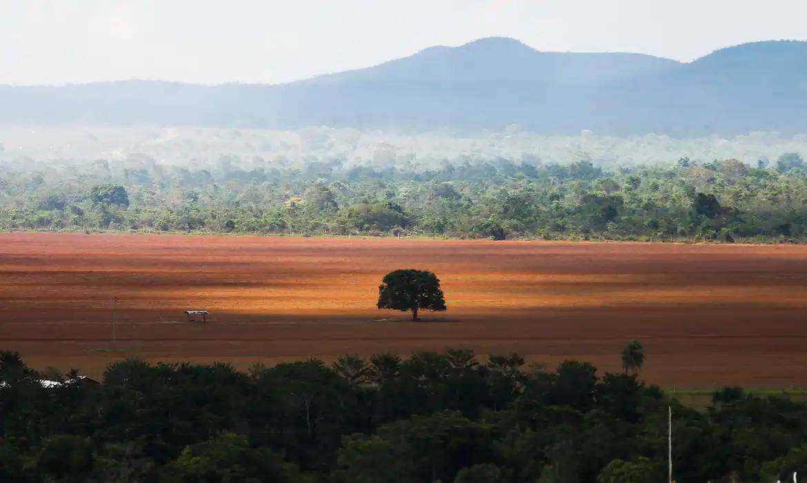 (Foto: Marcelo Camargo/Agência Brasil)