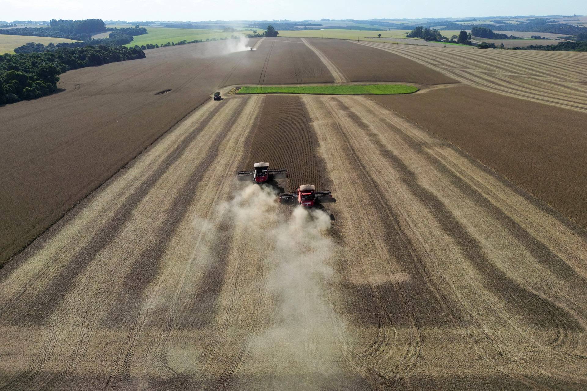 Trabalhadores operam colheitadeiras durante colheita de soja em fazenda em Não Me Toque, no Rio Grande do Sul - 
03/04/2024 (Foto: REUTERS/Diego Vara)