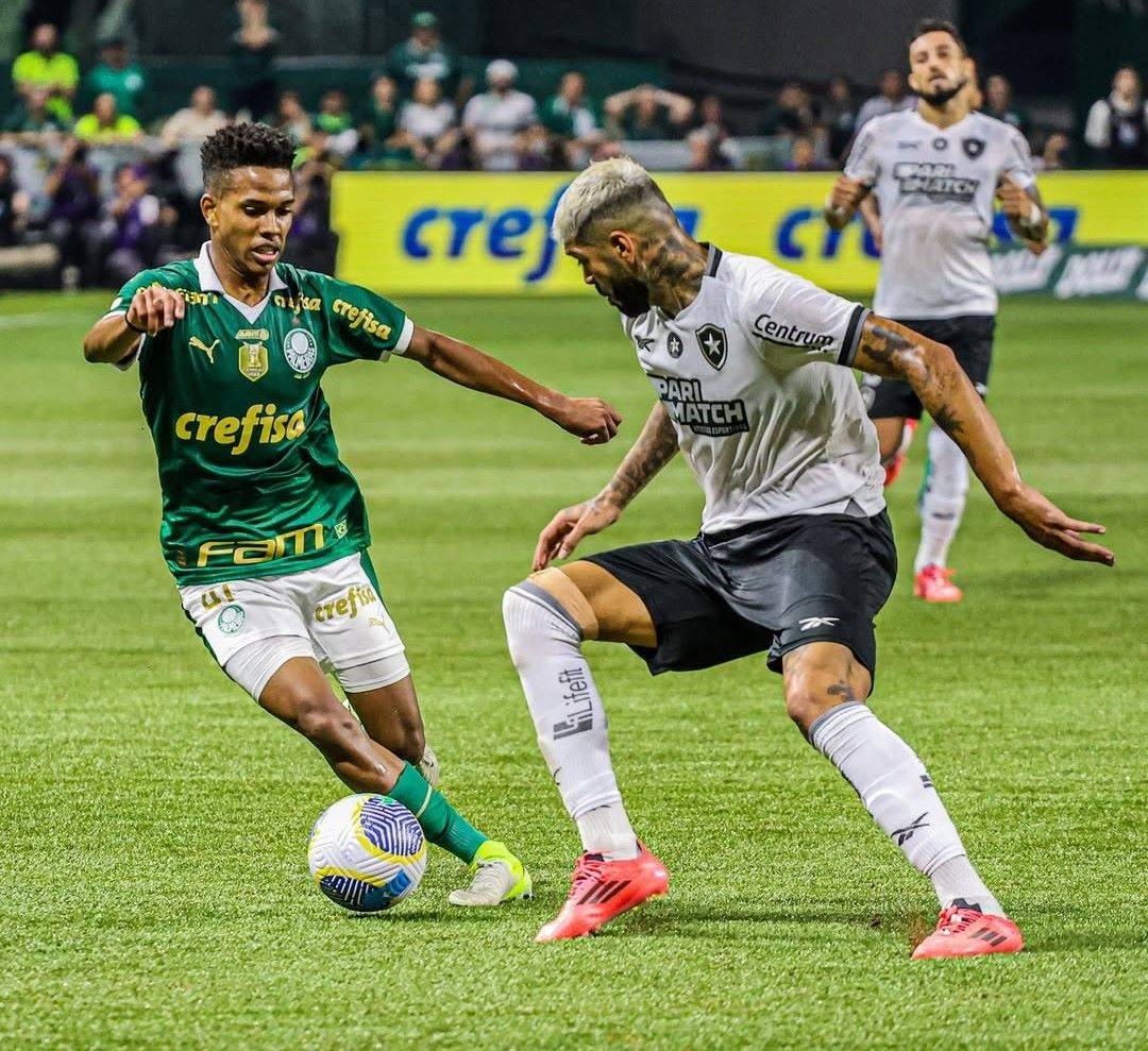 Lance de partida entre Palmeiras e Botafogo, pelo Brasileirão de 2024 (Foto> Reprodução do Instagram/@brasileirao)