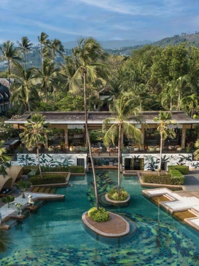 white-lotus-hotel