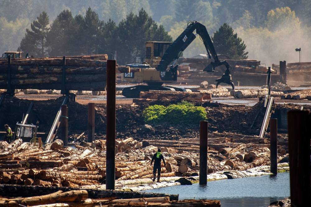 Um trabalhador caminha sobre troncos flutuantes em um pátio de madeira em Sayward, British Columbia.

Fotógrafo: James MacDonald/Bloomberg