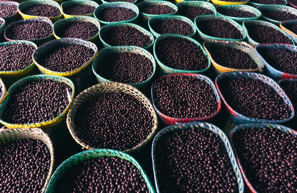 Riqueza Amazônica: Açaí Em Cestos Artesanais (Jr Sardo via Pexels)