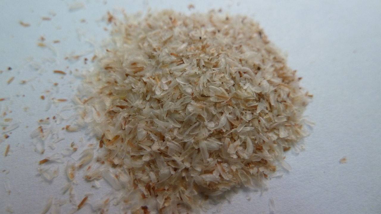 Créditos: Wikimedia Commons