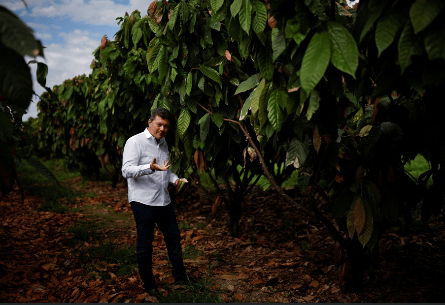 Produtor de cacau Moisés Schmidt em sua propriedade no oeste da Bahia 19/11/2024 REUTERS/Amanda Perobelli

