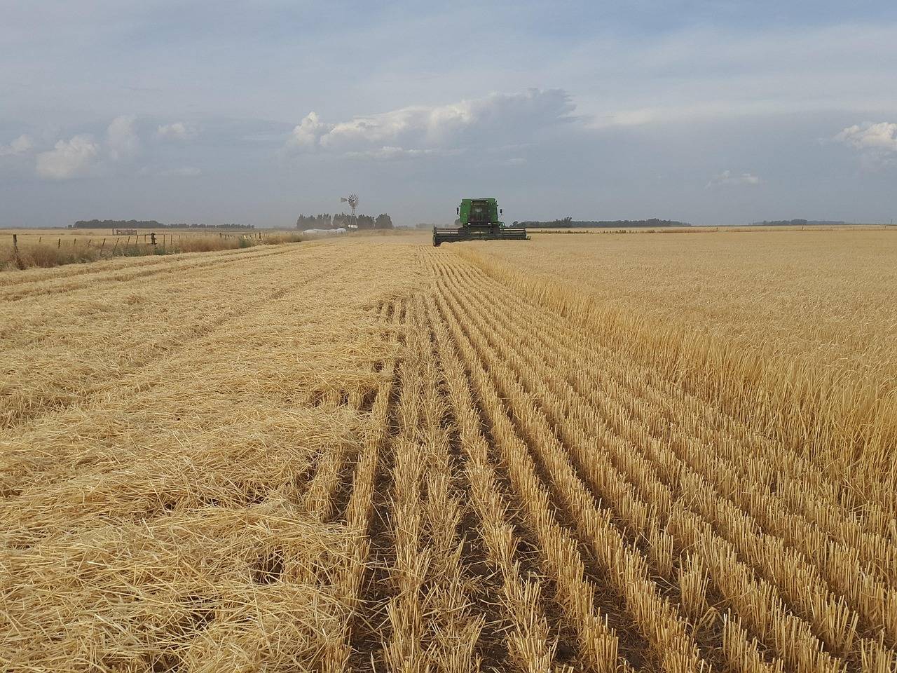 field-2468835_1280