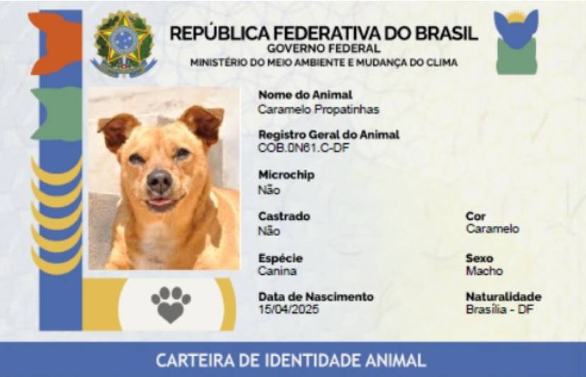 RG Animal gerado no SinPatinhas (Divulgação)