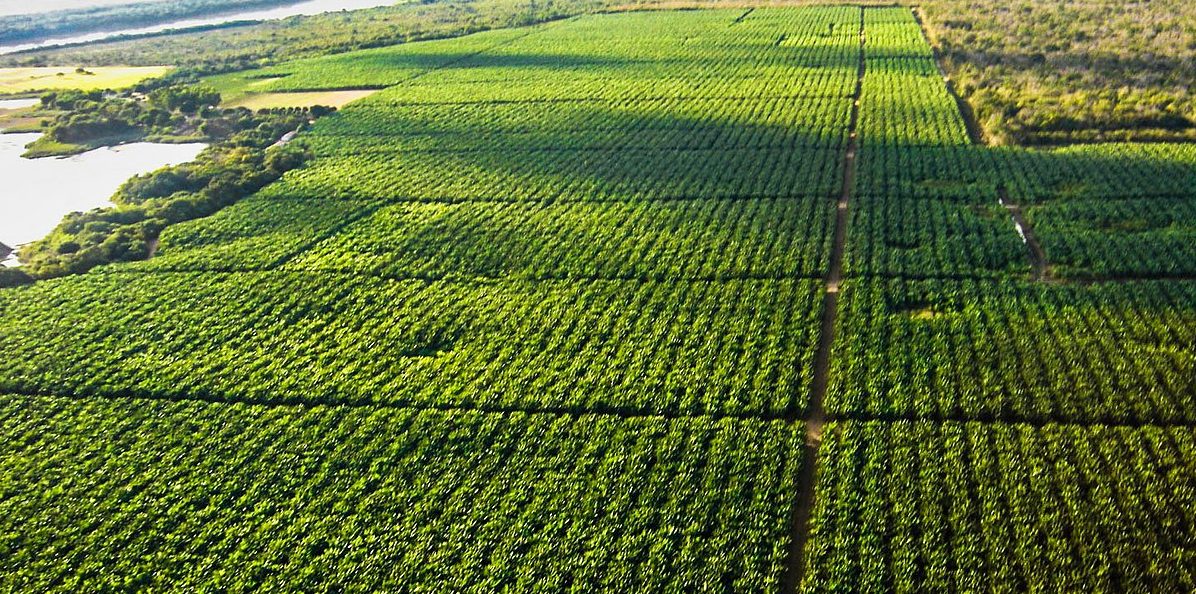 Comércio global virou estratégia geopolítica e Brasil precisa da diplomacia do agro