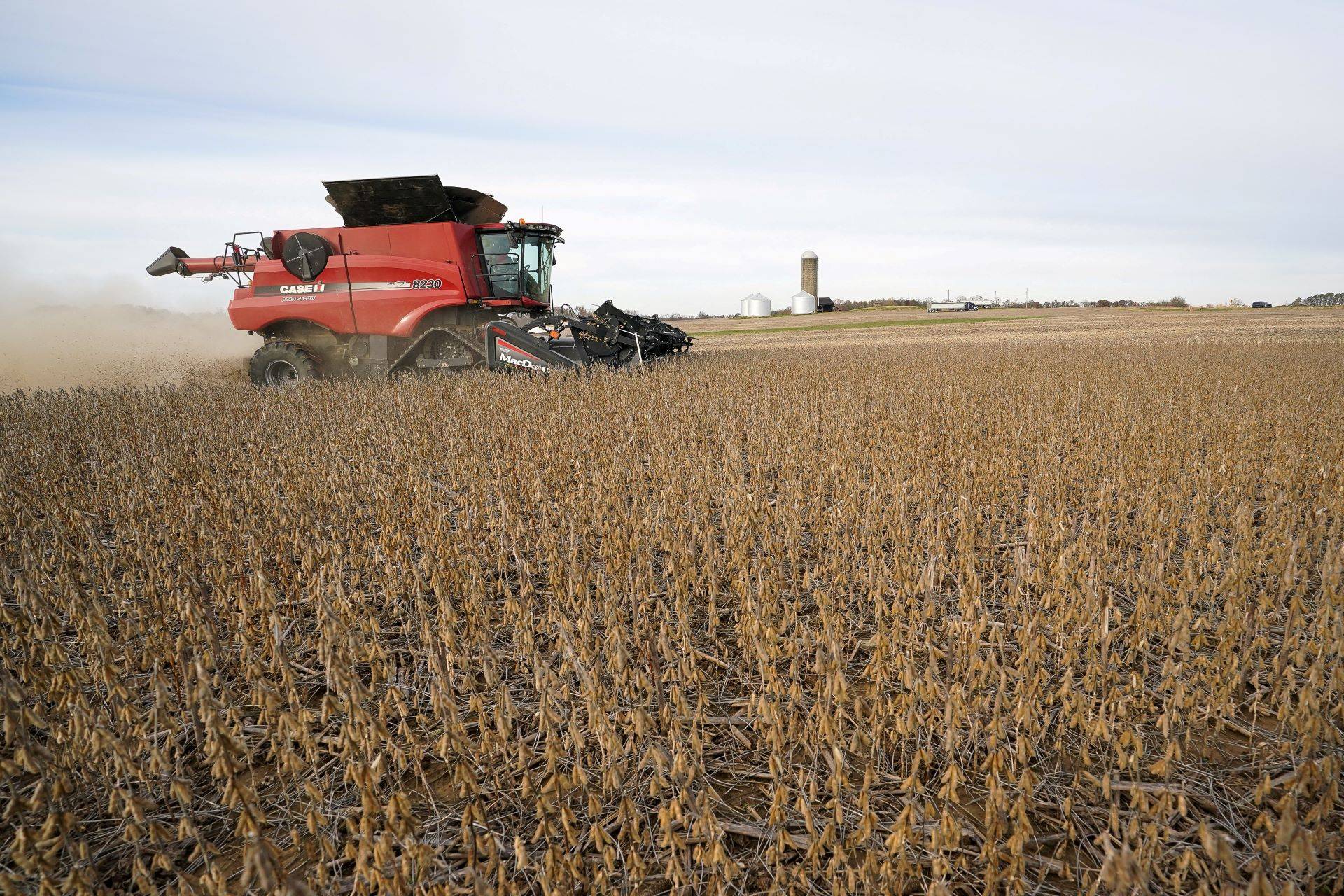 Soja é colhida em um campo de Roachdale, Indiana, EUA - 08/11/2019 (Foto: REUTERS/Bryan Woolston)