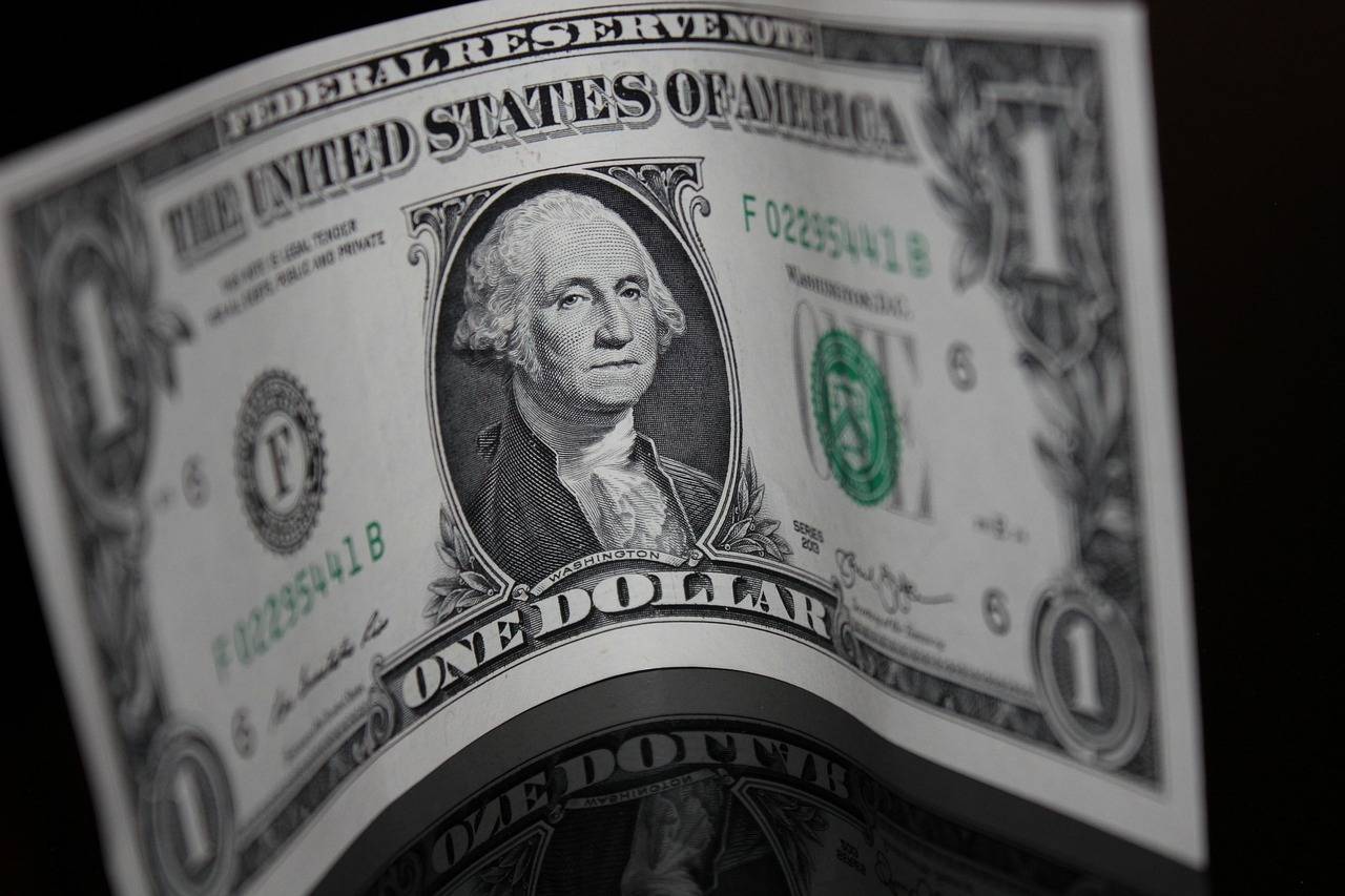 A imagem mostra uma nota de um dólar; crédito: banco de imagens livres.
