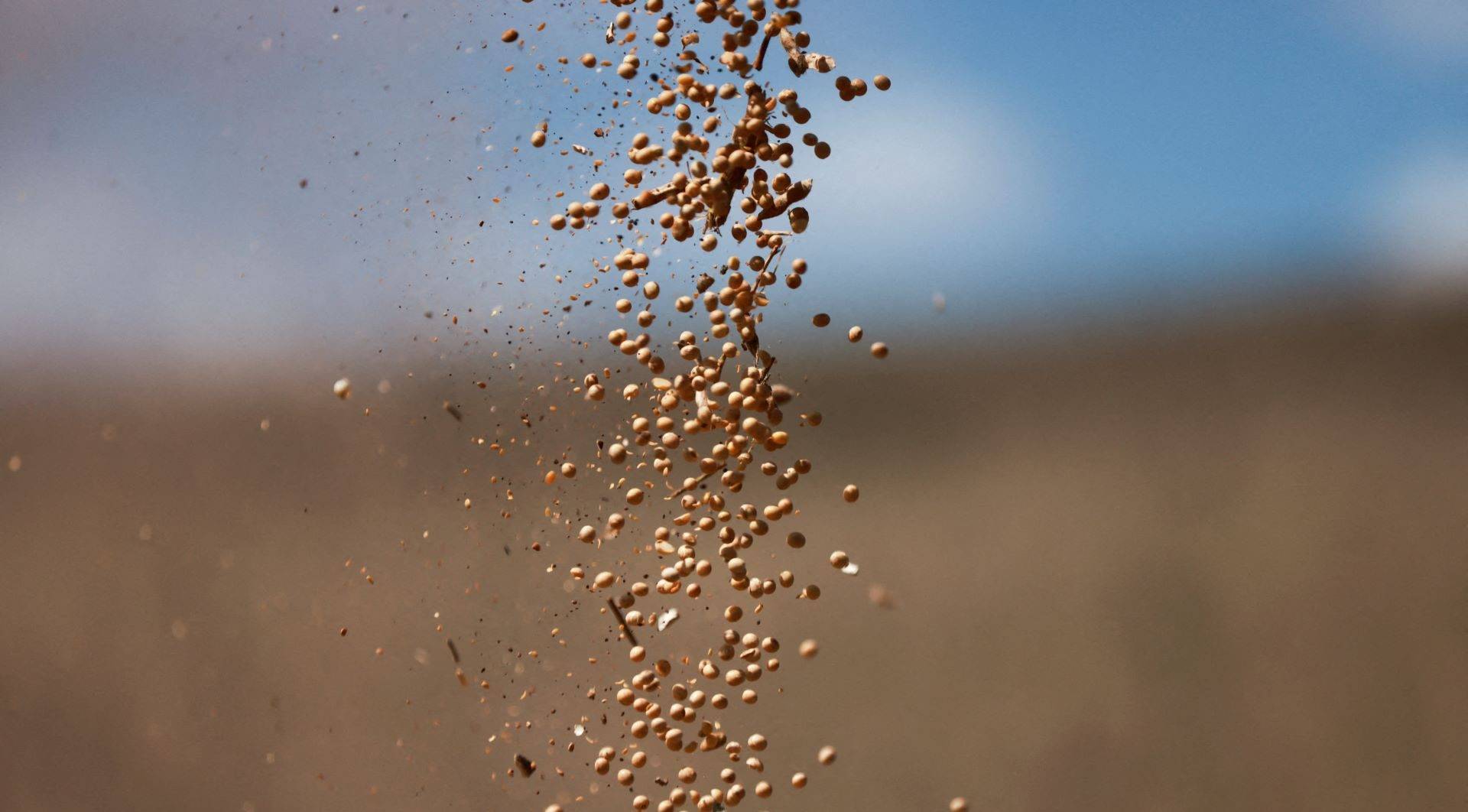 Soja é descarregada de uma colheitadeira em uma fazenda  de, em Sarandi,  no Rio  Grande do Sul - 02/04/2024 (Foto:  REUTERS/Diego Vara)