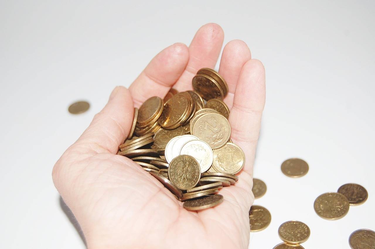 Mão com moedas